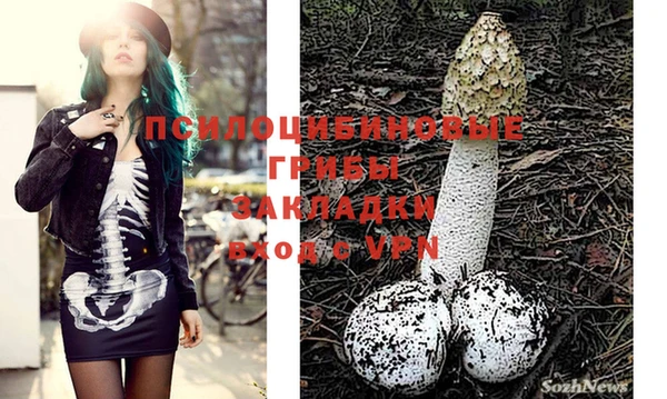 спайс Белокуриха