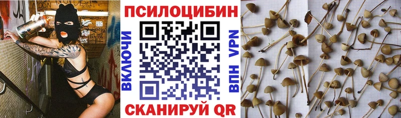 Галлюциногенные грибы Psilocybine cubensis  Окуловка 